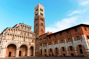 Från Florens: Privat heldagsutflykt till Pisa och Lucca från Florens