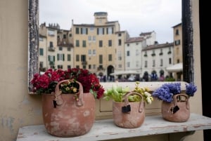 Fra Firenze: Privat heldagstur i Pisa og Lucca