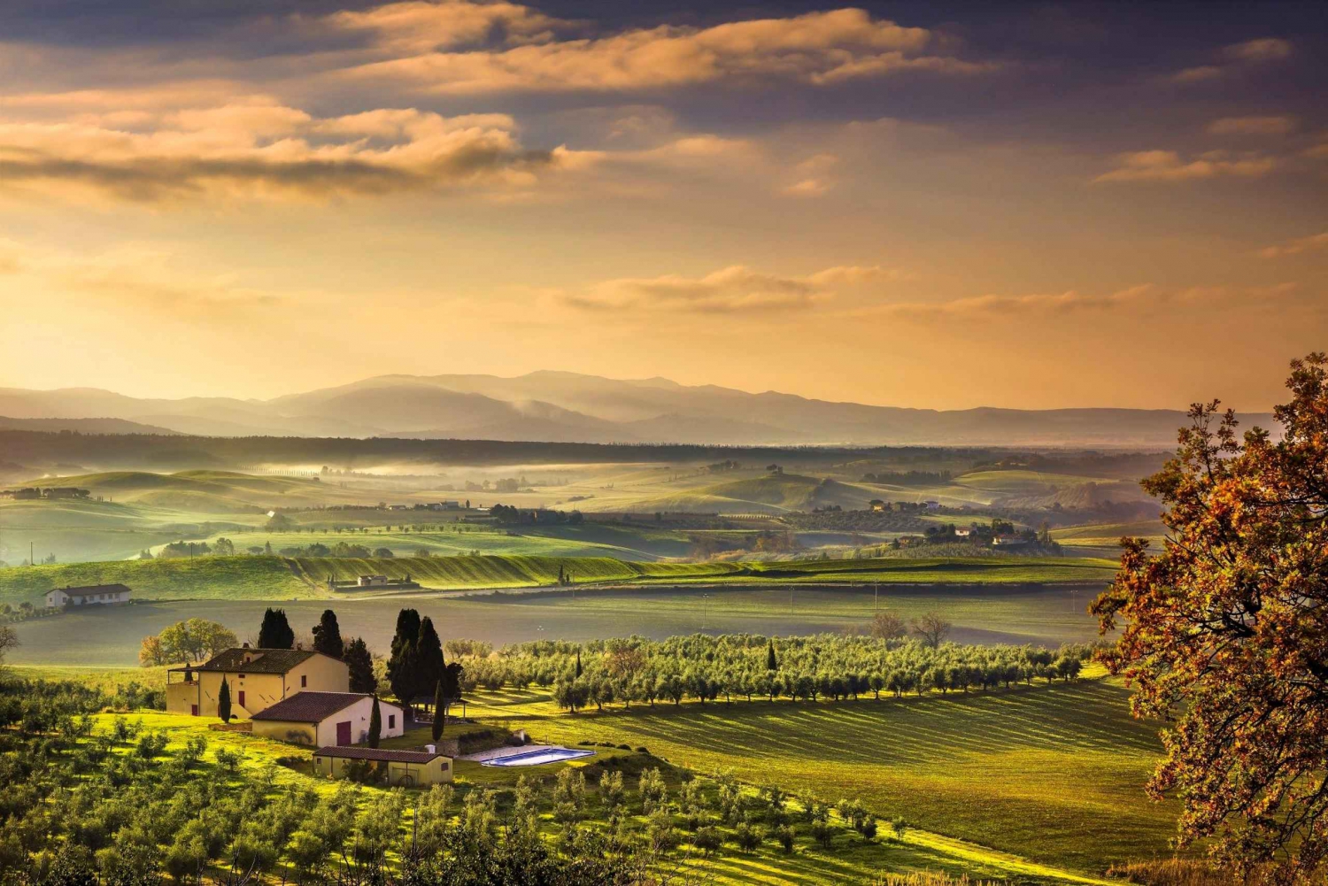 De Florença: excursão privada de meio dia a Chianti e degustação de vinhos