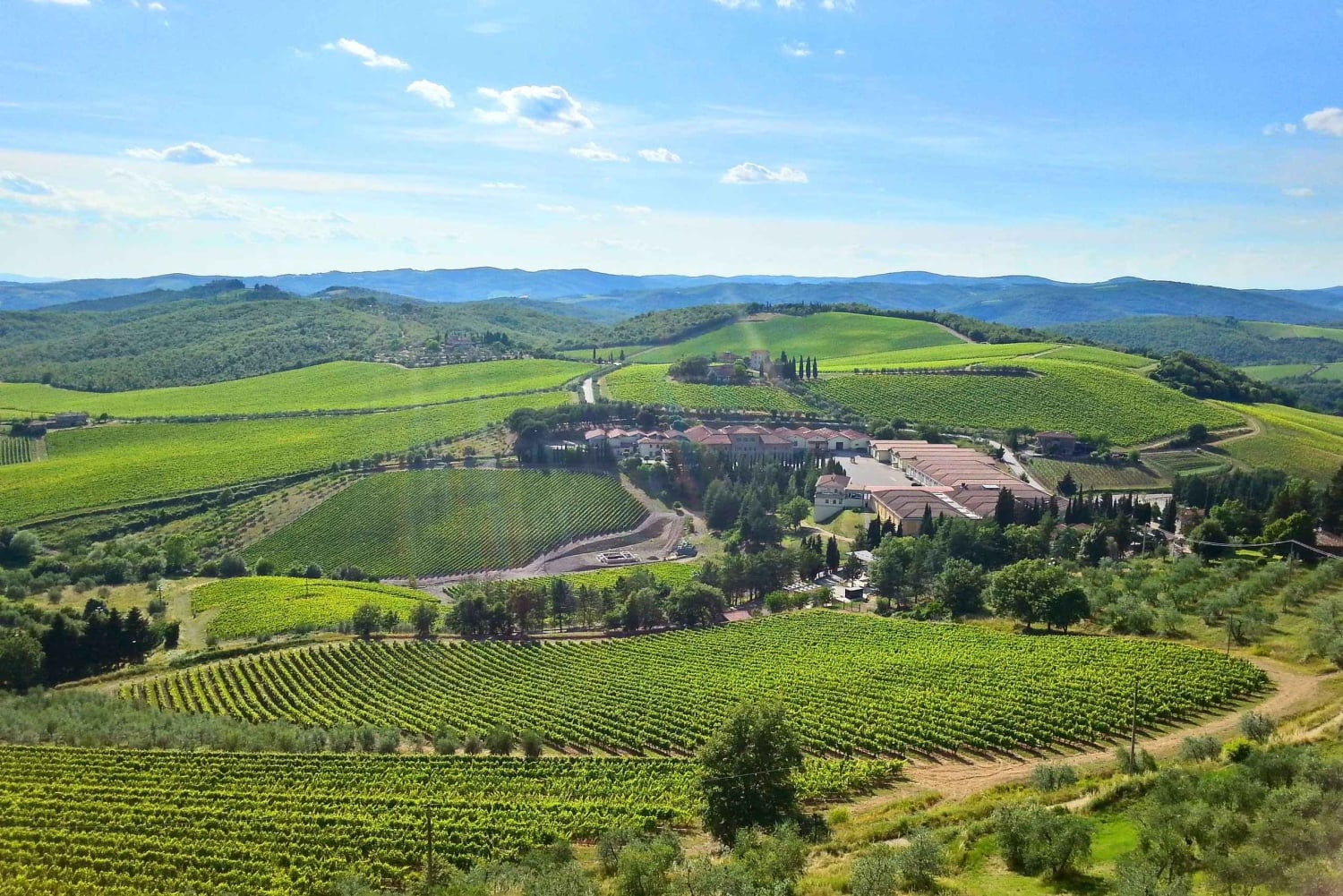 From Florence: Private Half-Day Chianti Tour & Wine Tasting