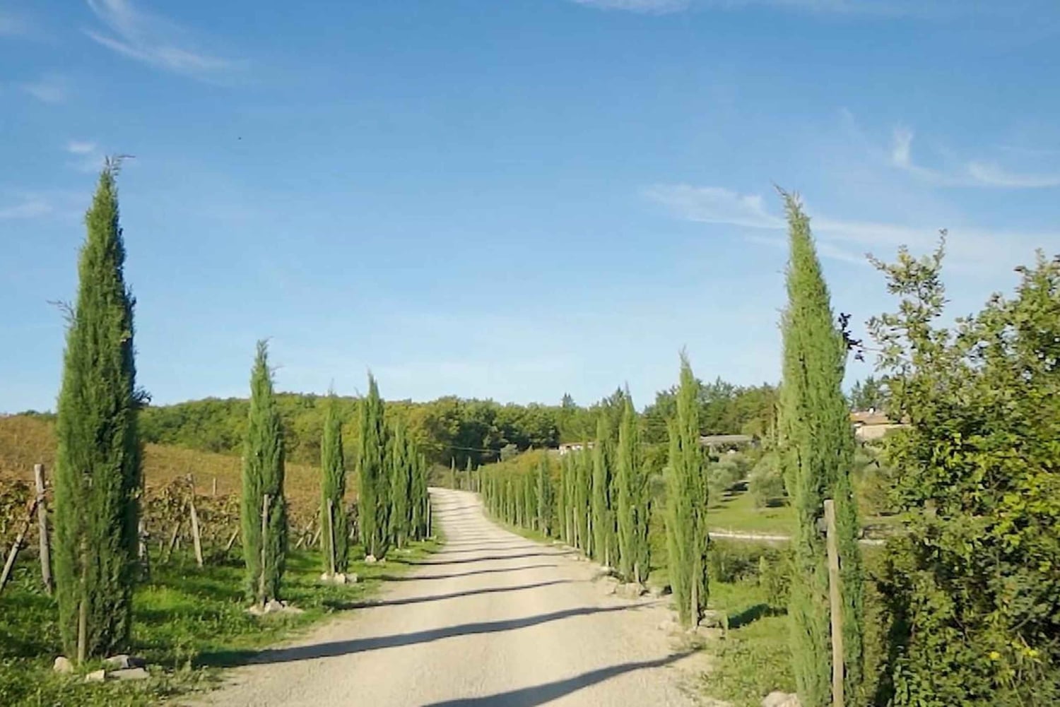 From Florence: Private Half-Day Chianti Tour & Wine Tasting