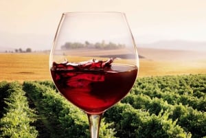 From Florence: Private Half-Day Chianti Tour & Wine Tasting