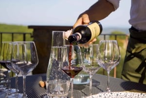 From Florence: Private Half-Day Chianti Tour & Wine Tasting