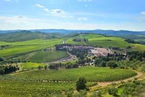 From Florence: Private Half-Day Chianti Tour & Wine Tasting