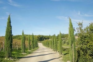 From Florence: Private Half-Day Chianti Tour & Wine Tasting