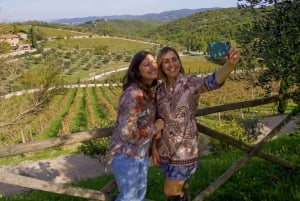 From Florence: Private Half-Day Chianti Tour & Wine Tasting
