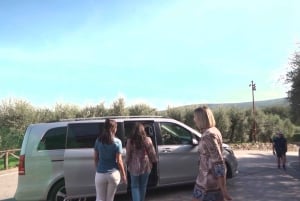 From Florence: Private Half-Day Chianti Tour & Wine Tasting