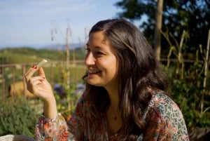 From Florence: Private Half-Day Chianti Tour & Wine Tasting