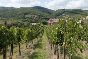 From Florence: Private Half-Day Chianti Tour & Wine Tasting