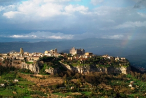 Da Firenze PRIVATO: Umbria Storica, Assisi e Orvieto