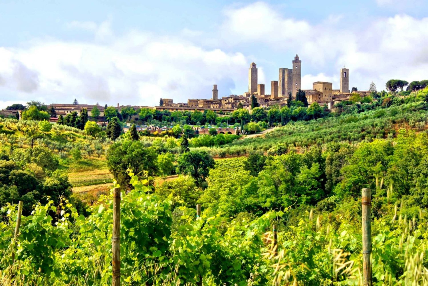 From Florence: Private Pisa, Siena and San Gimignano Trip