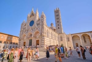 Van Florence: privétrip Pisa, Siena en San Gimignano