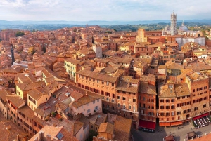 From Florence: Private Pisa, Siena and San Gimignano Trip