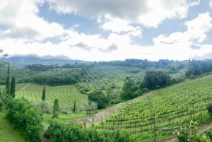 From Florence: PRIVATE Siena and Chianti Classico Trip