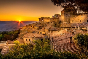 Vanuit Florence: PRIVÉ-rondleiding door San Gimignano en Volterra