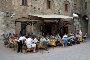 PRIVATE Trip to Pisa, San Gimignano, & Siena