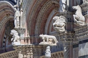 Von Florenz aus: PRIVATE Reise nach Pisa, San Gimignano und Siena