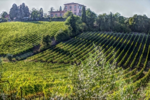 Fra Firenze: PRIVAT vinopplevelse i Chianti Classico