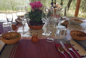 Fra Firenze: PRIVAT vinopplevelse i Chianti Classico