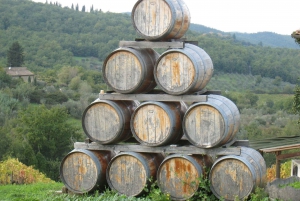 Fra Firenze: PRIVAT vinopplevelse i Chianti Classico
