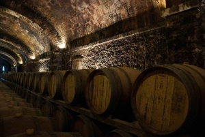 Fra Firenze: PRIVAT vinopplevelse i Chianti Classico