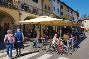 Fra Firenze: PRIVAT vinopplevelse i Chianti Classico