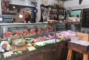 Fra Firenze: PRIVAT vinopplevelse i Chianti Classico