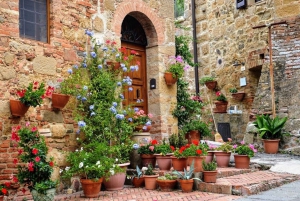 Fra Firenze: PRIVAT vinopplevelse i Chianti Classico