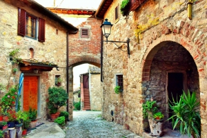 Fra Firenze: PRIVAT vinopplevelse i Chianti Classico