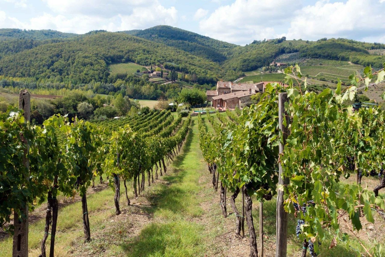 Från Florens: Privat vinprovningstur i Chianti