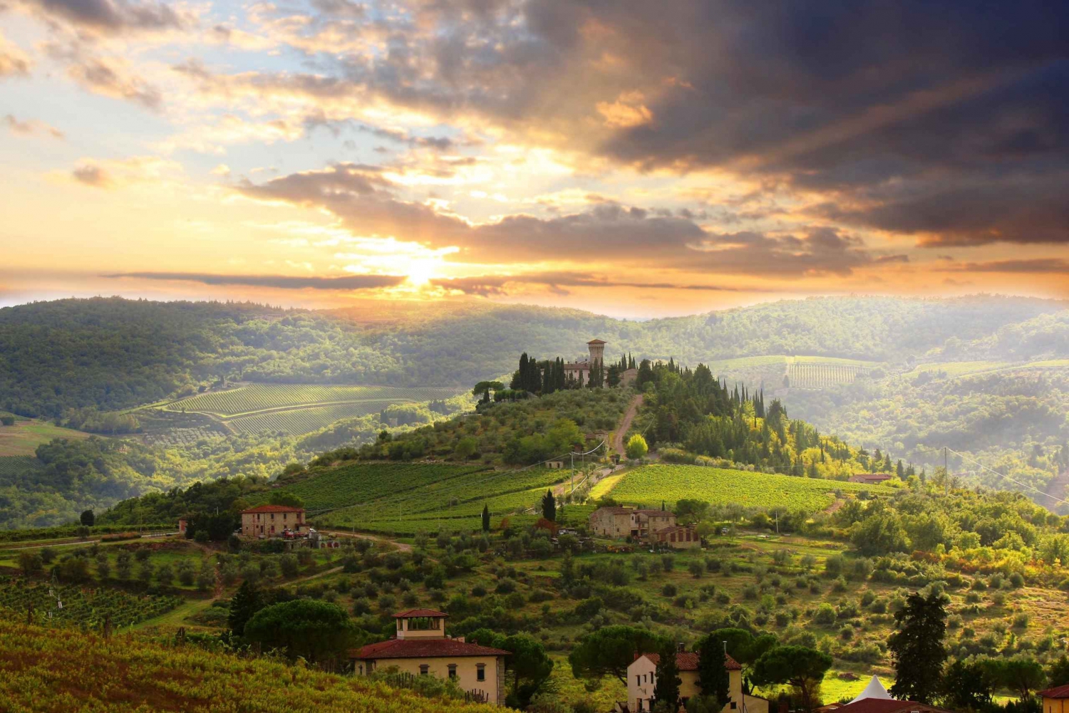 Z Florencji: prywatna wycieczka po winnicach z kolacją w posiadłości