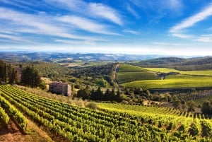 De Florença: excursão privada ao vinho com jantar em uma propriedade