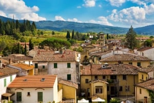 Vanuit Florence: privéwijntour met diner op een landgoed