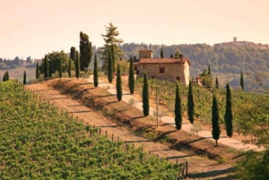 From Florence: Private Wine Tour with Dinner on an Estate