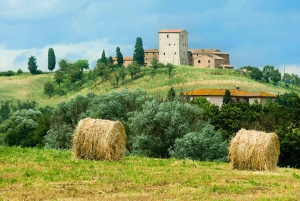 From Florence: Private Wine Tour with Dinner on an Estate