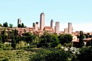 From Florence: 'Ramble through the hills of Chanti'