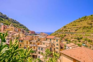 Firenzestä: Edestakainen kuljetus Cinque Terrelle