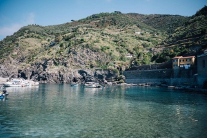 From Florence: Round-trip Transfer to Pisa & Cinque Terre
