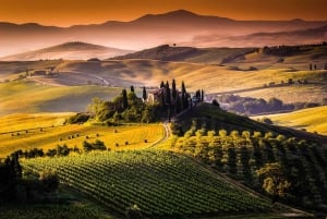 From Florence: Pisa, Siena San Gimignano Private Tour
