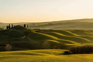 From Florence: Pisa, Siena San Gimignano Private Tour