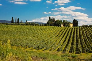 From Florence: Pisa, Siena San Gimignano Private Tour