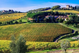 San Gimignano, Siena, and Monteriggioni Tour