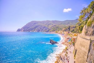 Från Florens: En dagstur till Cinque Terre med havets skönhet