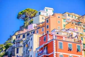 Firenzestä: Cinque Terren päiväretki merenrantaan