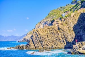Da Firenze: Escursione di un giorno alle Cinque Terre all'insegna della bellezza del mare