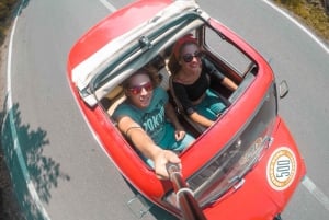 Vanuit Florence: zelfrijdende Fiat 500 Tour