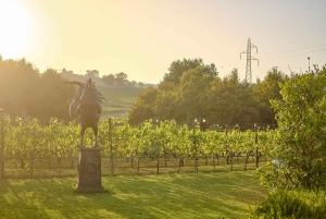 Firenzestä: Päiväretki Sienaan ja Chiantiin illallisella