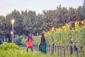 Firenzestä: Päiväretki Sienaan ja Chiantiin illallisella