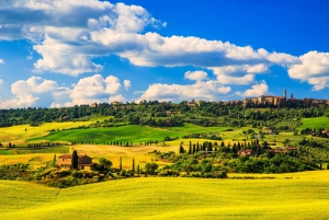 From Florence: Siena and Chianti Wine Tour