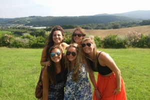 From Florence: Siena, Cortona, Montepulciano & Val D'Orcia